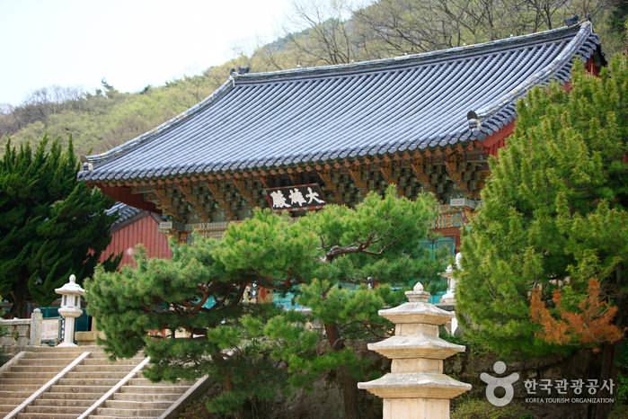 2 Days Korea UNESCO Tours Busan Changwon Daegu